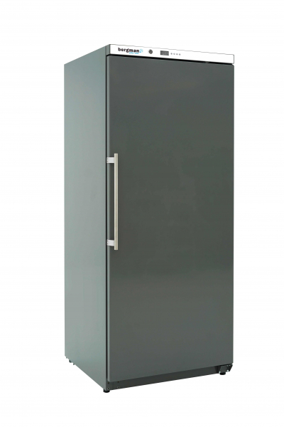 Lagerkühlschrank BASICLINE ABS - 305 l